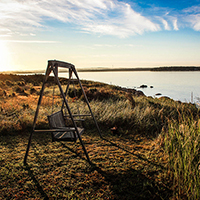 免费ddos在线攻击测试网站